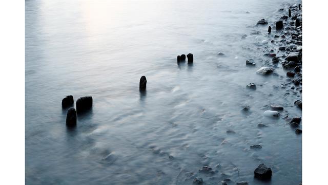 Viejos puntales de madera