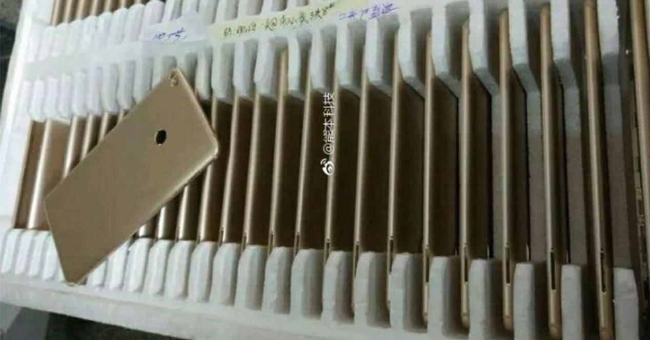 %image_alt%