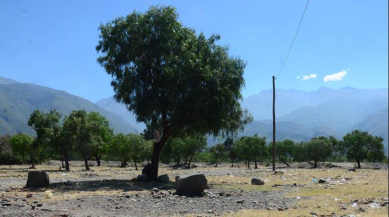 Playón de Marquina en Quillacollo. | Fernando Balderrama