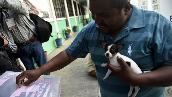 Un hombre acudió a votar acompañado de su perro (AFP)