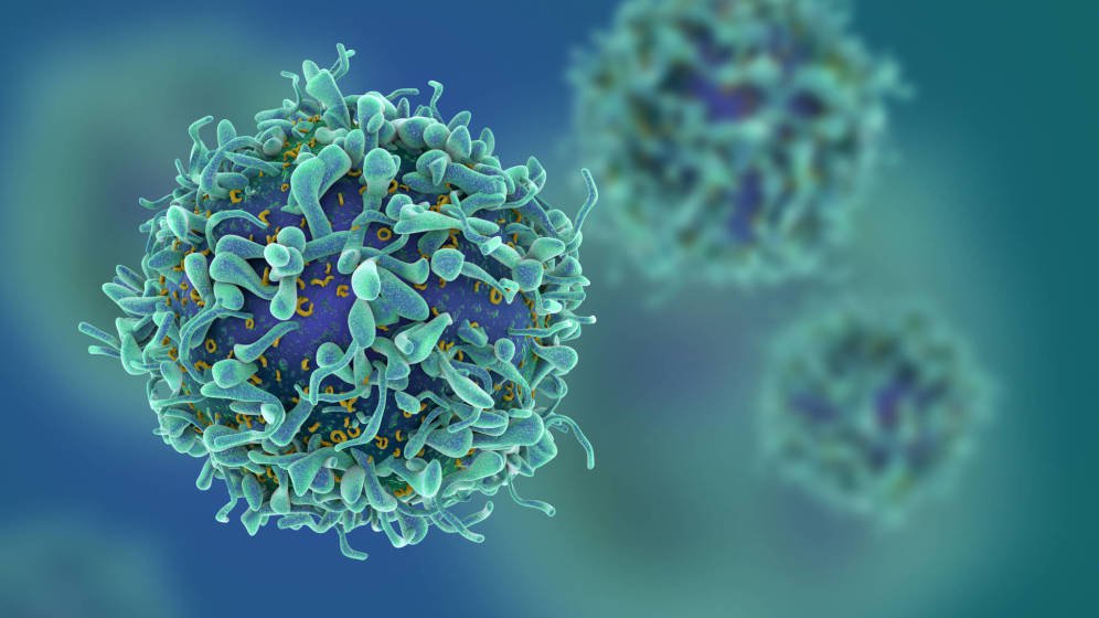 Foto: Cáncer. (iStock) 