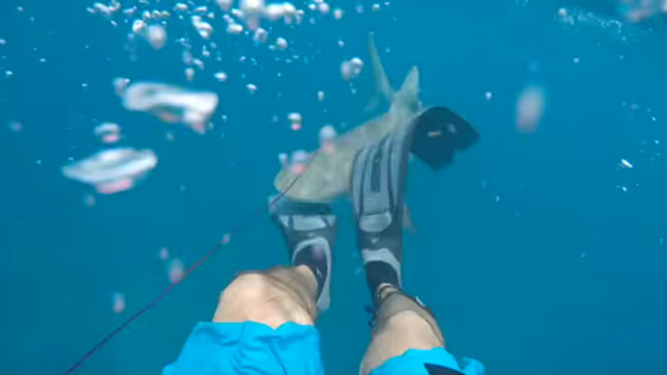 VIDEO: un estadounidense graba cómo le ataca un tiburón