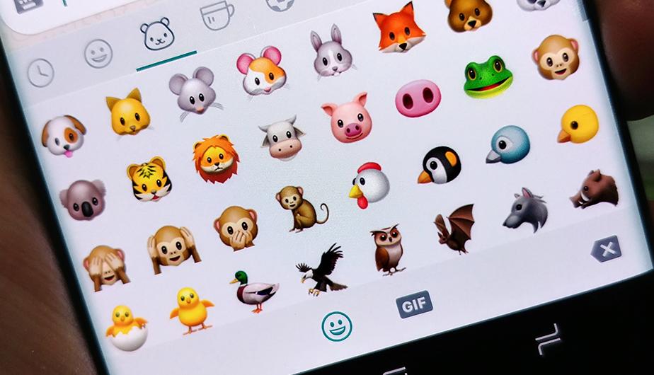 ¿Sabes qué significan estos emojis de WhatsApp? Cuando lo sepas no querrás usarlo nunca más. Terroríficos. (Foto: Rommel Yupanqui / Peru.com)