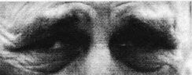 %image_alt%