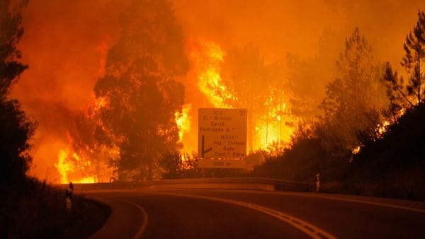 El incendio el bosque resultó incontrolable para las autoridades. (EFE)