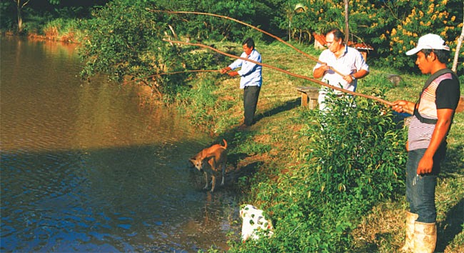 Resultado de imagen de Denuncian pesca ilegal por gente de Santa Cruz en municipio del Beni