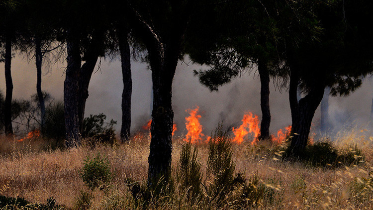 Evacuan a más de 2.000 personas por un incendio forestal en España (VIDEO, FOTOS)