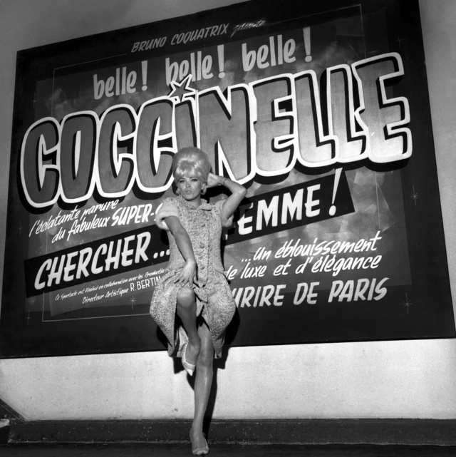 Coccinelle