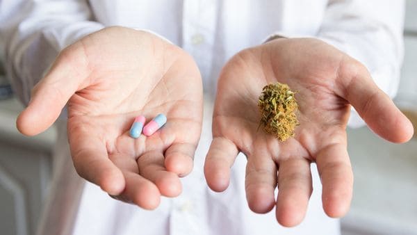 El debate sobre el uso del cannabis vuelve a abrirse (Shutterstock)