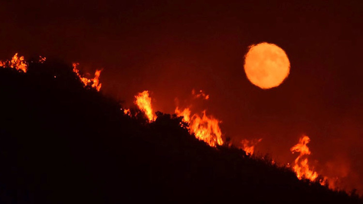 Los incendios forestales provocan evacuaciones y múltiples daños en California (FOTOS, VIDEOS)