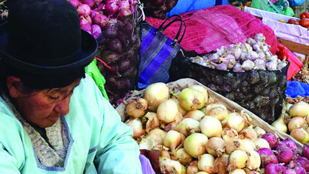 Suben los precios y en mercados se ofrecen verduras importadas