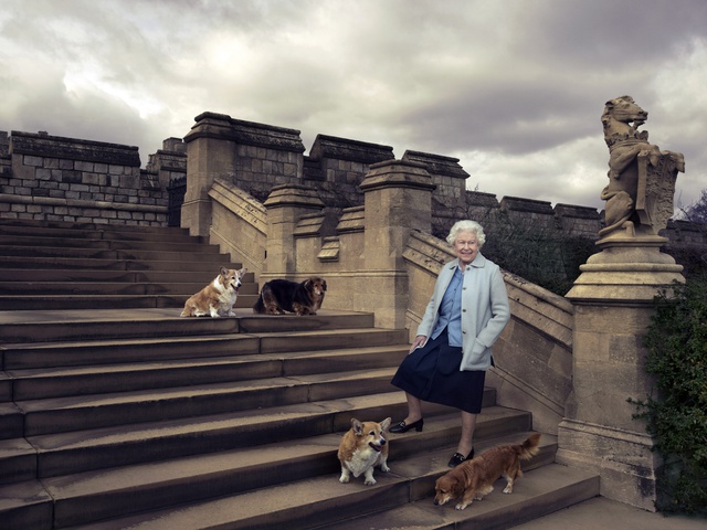 Con sus grande amores: los corgis