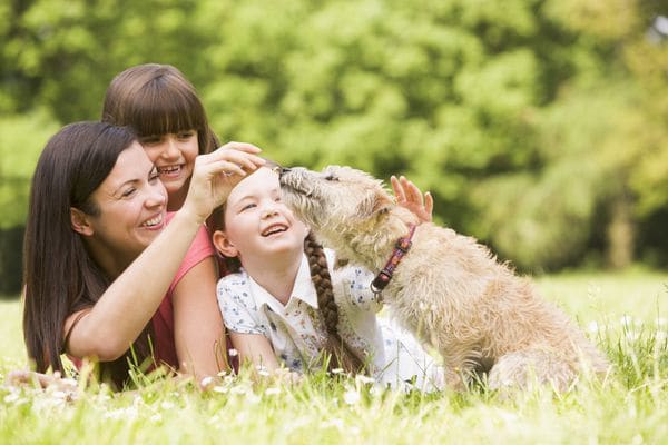 Estudios indican que es necesario un enfoque integral de la genética y el comportamiento de los perros para entender los fundamentos moleculares asociadas con la domesticación