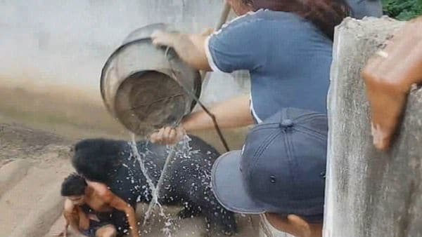 Los amigos de Naiphum intentaron detener el ataque tirándole agua al animal