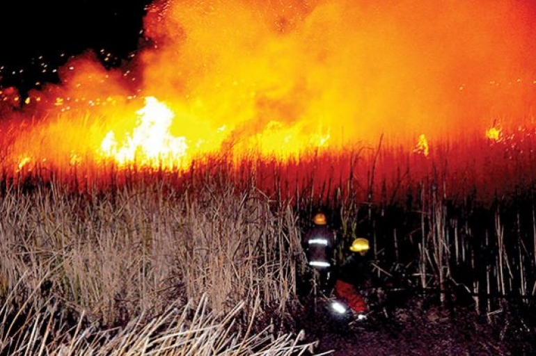 Resultado de imagen de incendios en municipios de Cochabamba