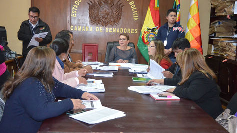 Comisión legislativa a cargo de la evaluación de méritos