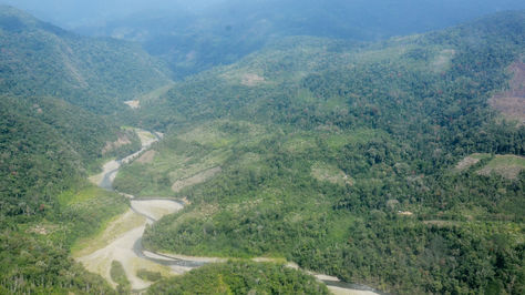 Imagen aérea de parte del Territorio Indígena Parque Nacional Isiboro Sécure (TIPNIS) capturada en julio de 2017. Foto: Archivo