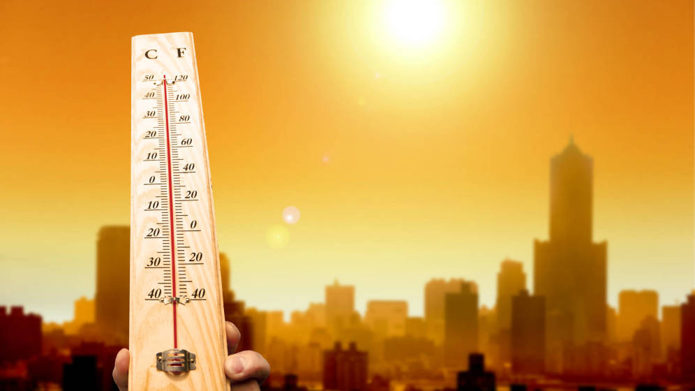 Foto: Las olas de calor serán más frecuentes. (iStock)