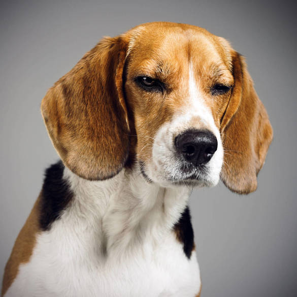 No le caes bien. (iStock)