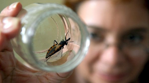 Un medicamento argentino fue el primero en ser aprobado en los Estados Unidos para combatir el Chagas (EFE/David de la Paz)