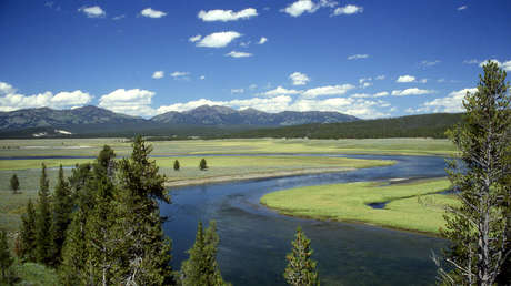 Panorámica de Yellowstone en el valle de Hayden. Parque Nacional de Yellowstone, Wyoming, Estados Unidos