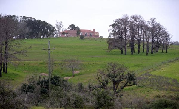 Campo de 600 hectáreas que compró el capo y luego vendió.