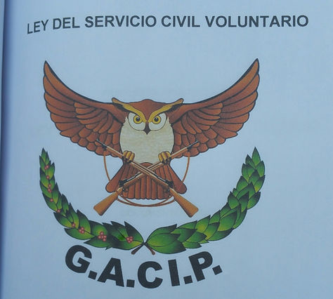 El documento del anteproyecto de Ley de Servicio Civil Voluntario. Foto. La Razón