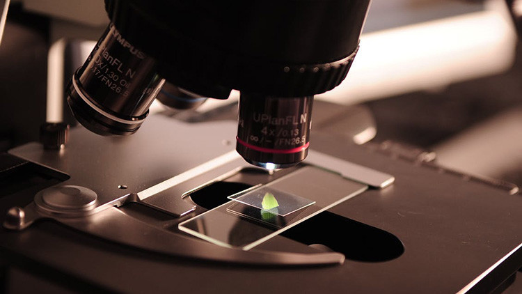 Científicos argentinos ocupan el Ministerio de Ciencia desde hace una semana