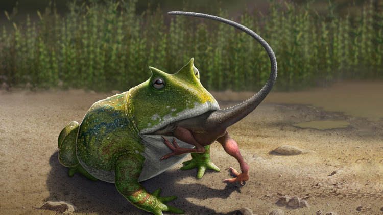 Científicos descubren una rana gigante 'diabólica' que devoraba dinosaurios