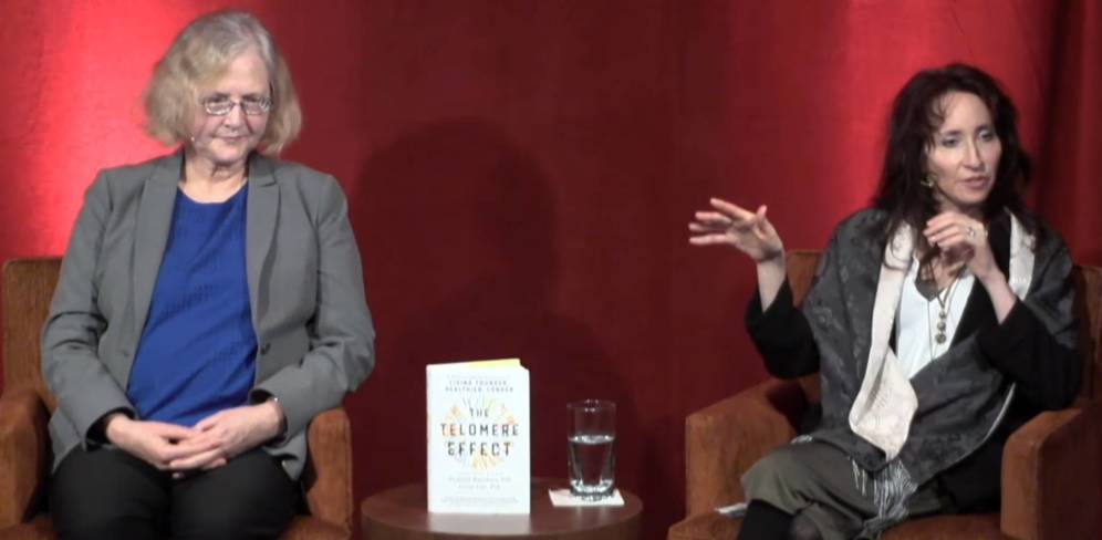 Foto: Las autoras presentando su libro. (Youtube)