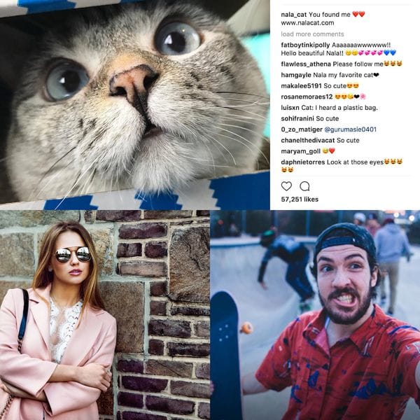 Gracias a las redes sociales, animales, aspirantes a modelo y simples personas que disfrutan de fotografiarse a si mismos pueden convertirse en influencers de la noche a la mañana