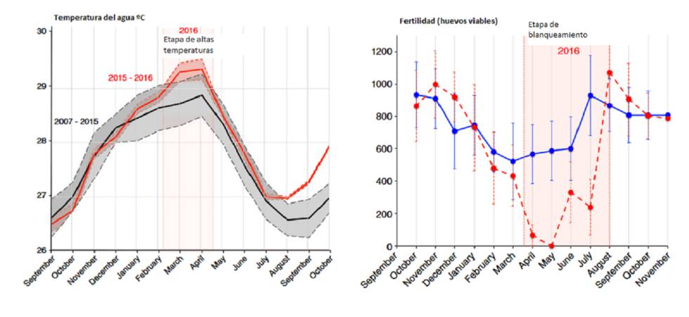 Gráficos de las temperaturas del agua y los huevos viables.