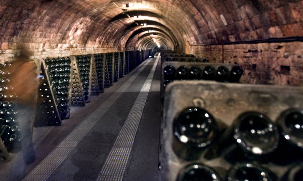 Interior de las cavas de Codorniu en Sant Sadurni (Barcelona).rn 
