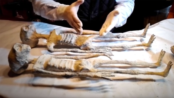 Los cuerpos fueron hallados en Nazca y tendrían 1.700 años de antigüedad