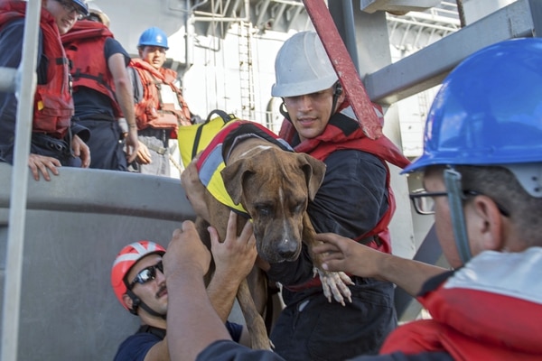 (Mass Communication Specialist 3rd Class Jonathan Clay/U.S. Navy via AP)