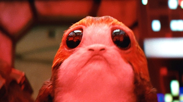 Fotograma de la película “Latest Jedi” (Cortesía de Disney)