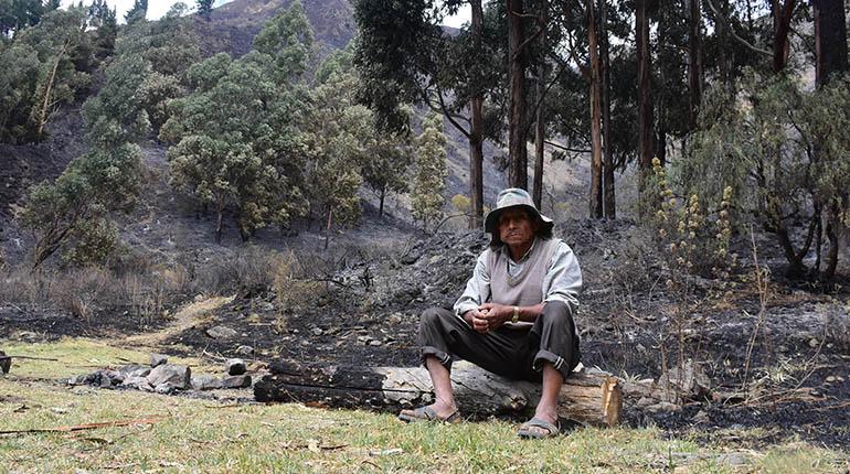 Ruperto Rocha, comunario de Potreros, visita el lugar afectado por el incendio del viernes | Daniel James