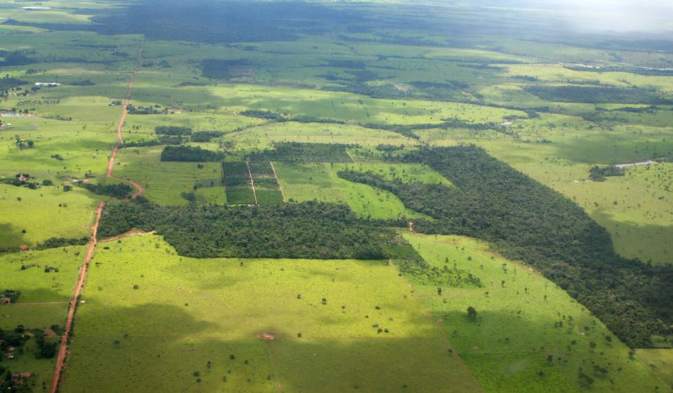 La selva amazónica, como este paisaje del Mato Grosso, presenta cada vez más calvas.