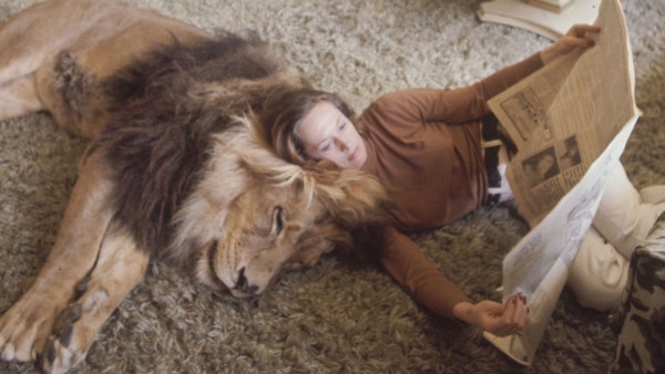 Tippi Hedren apoyada al león Neil en el living de su casa.