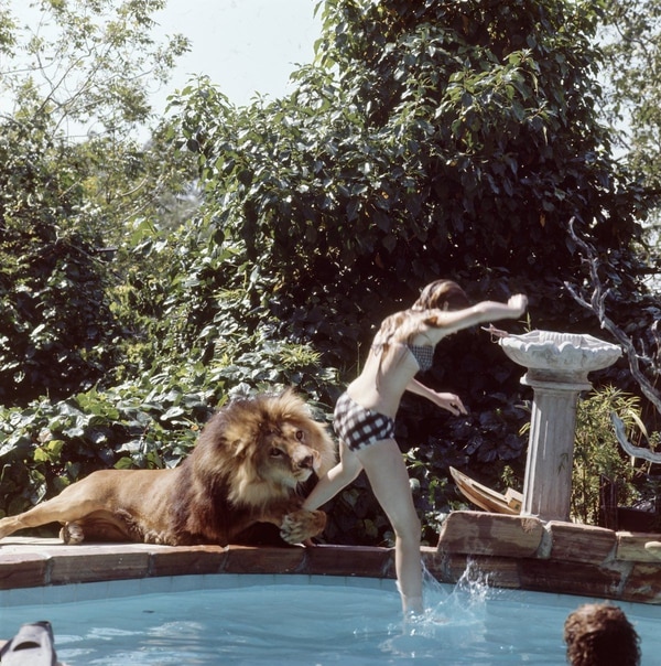 Melanie en la piscina con el león.