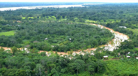 Bosques que rodean a la población de Rurrenabaque en el departamento de Beni. Foto: ABI.
