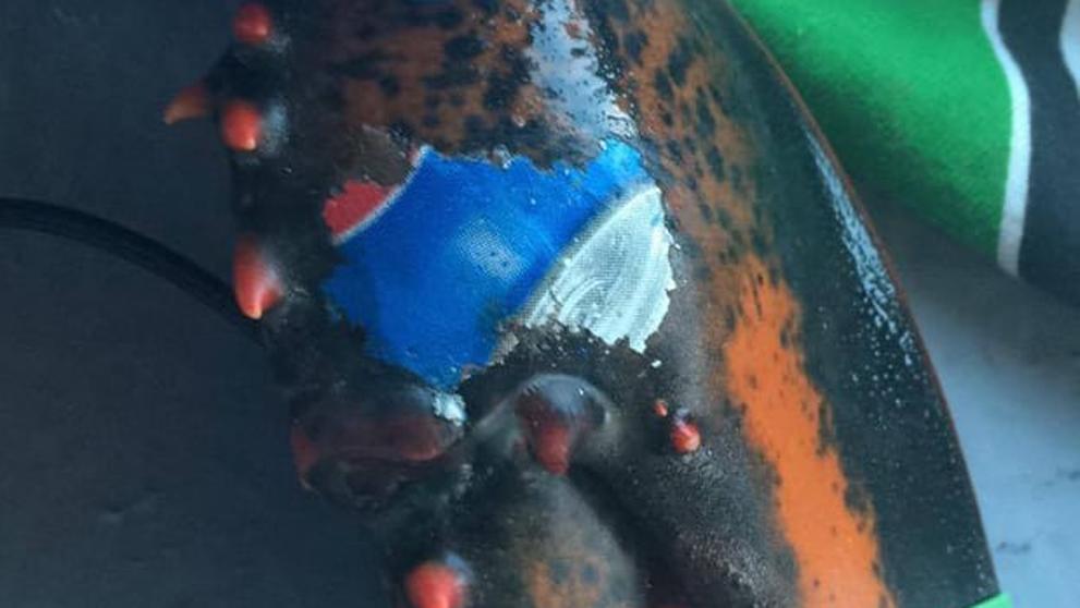 El bogavante con el logo de Pepsi ‘tatuado’ en una pinza que debería consternar al mundo