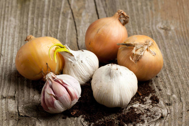 Foto: iStock.