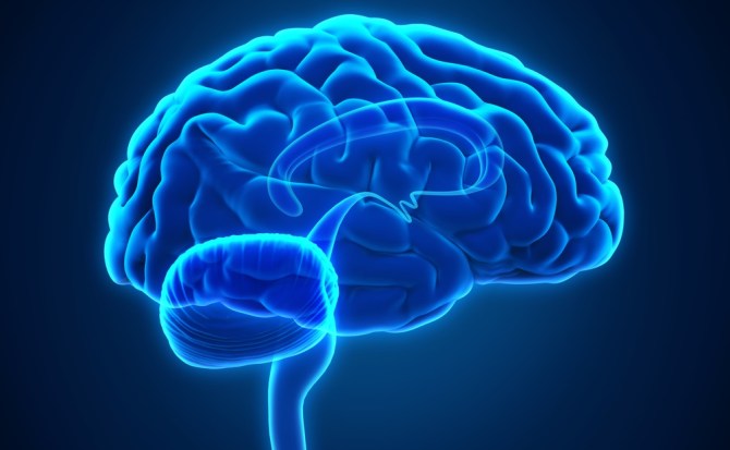 Los cinco mitos más extendidos sobre el cerebro (y por qué son falsos)