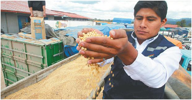 Resultado de imagen para 60 toneladas de maíz por contrabando desde Argentina
