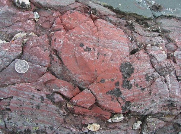 Concreción de esquisto y hematita, con microfósiles y una capa de color rojo brillante. La roca volcánica de color verde oscuro, arriba a la derecha, está formada por precipitaciones de una fuente hidrotermal sobre el lecho marino. Cinturón rocoso de Nuvvuagittuq. Imagen: Dominic Papineau