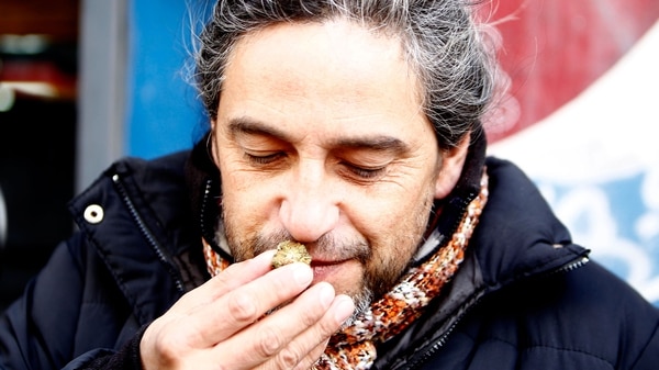 El Gobierno uruguayo descartó la venta de marihuana en el país a visitantes extranjeros (EFE)