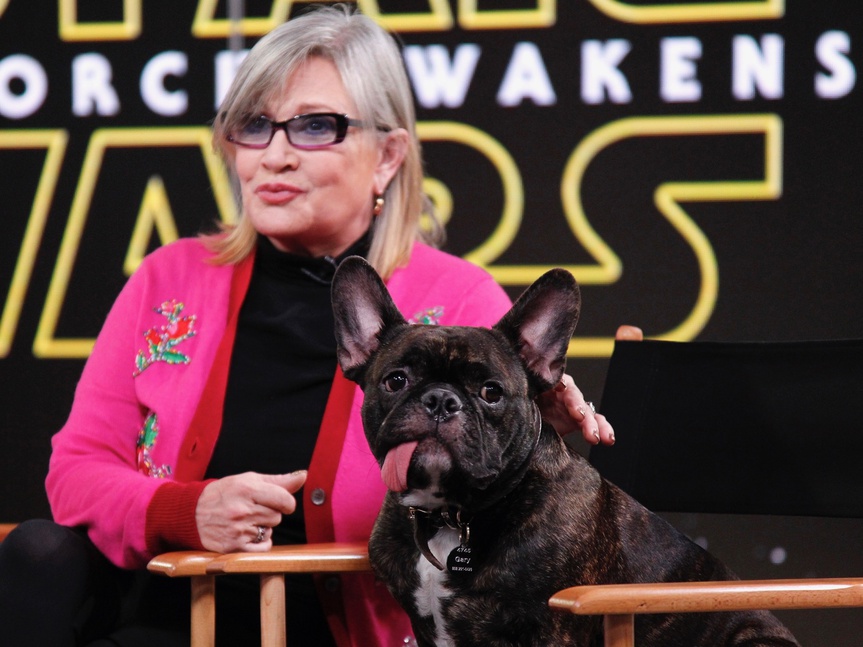 El perro de Carrie Fisher reconoció a Leia mientras veía 