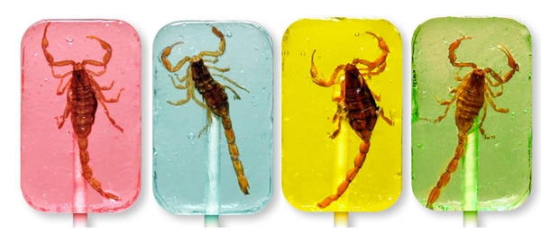 Cuatro sabores diferentes de Scorpion Suckers. Imagen cortesía de HOTLIX.