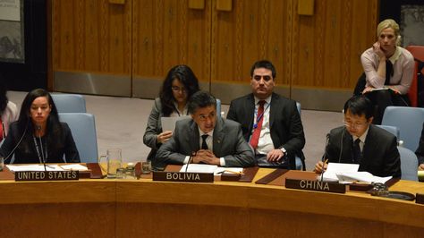 Embajador Sacha Llorenti en la ONU. Foto:Misión de Boliviana en la ONU